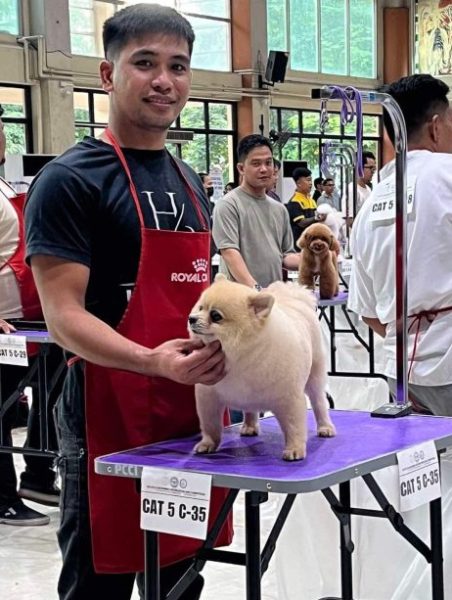 grooming certification